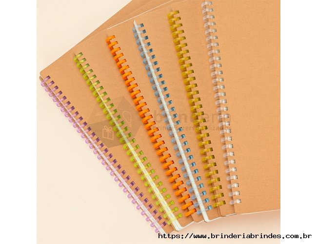 Caderneta Ecológica 19x25,5 - CDN07B